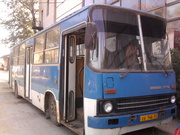 Продажа Икаруса 260.50 (1995г.)