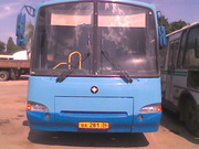 Паз 4230(Аврора)